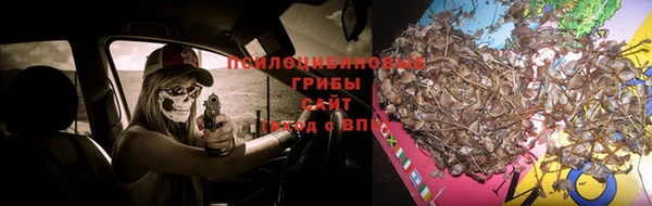 прущие крисы Баксан