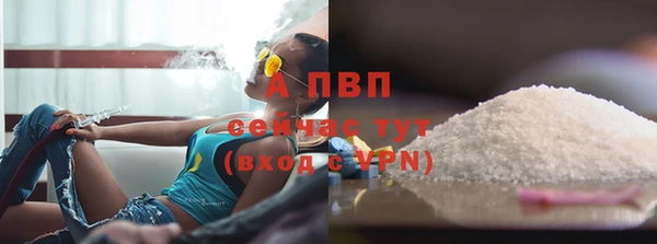 молекула духа Белокуриха