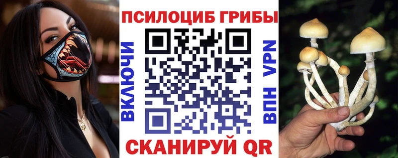 Галлюциногенные грибы MAGIC MUSHROOMS Кашира